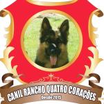 Hotelzinho Canil Rancho Quatro Corações Hotelzinho Canil Rancho Quatro Corações