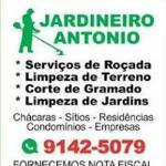 Jardineiro Antônio Jardineiro Antônio