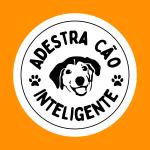 Adestra Cão Inteligente