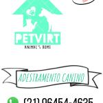 Petvirt Petvirt