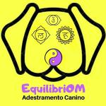 Equilibriom Adestramento Canino