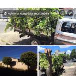 Re Jardinagem E Construção Civil