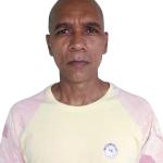Pereira Pereira