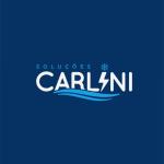 Carlini Soluções Carlini Soluções