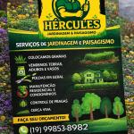 Hércules Jardinagem E Paisagismo