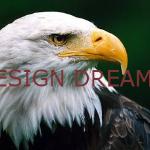 Design Dreams