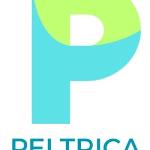 Peltrica Consultoria Em Elétrica Peltrica Consultoria Em Elétrica