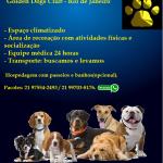 Golden Dogs Golden Dogs
