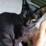 Joelma Moreira De Morais