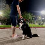 Diego Dos Reis Oliveira