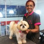Centro Estético Canino Espaço Fashion Shenna Centro Estético Canino Espaço Fashion Shenna