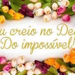Irani Teixeira De Castro Teixeira Irani Teixeira De Castro Teixeira