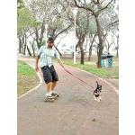 Anfitrião Para Pets Anfitrião Para Pets