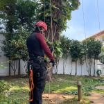 Leandro Costa Leandro Costa