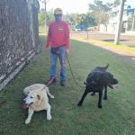 Woof Woof Passeios Caninos Woof Woof Passeios Caninos