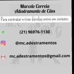 Marcelo Correia Marcelo Correia