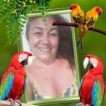 Santiago Confecções