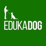 Edukadog Adestramento