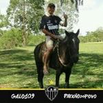Bruno Vilela Bruno Vilela