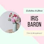 Iris Teresinha Baron