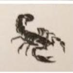 Scorpions Construcoes Scorpions Construcoes