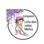 Lírio Dos Vales Melus