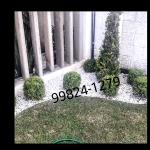 Marcelo Lopes Jardinagem Marcelo Lopes Jardinagem