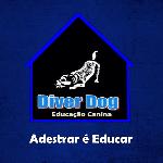 Diverdog Educação Canina