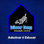Diverdog Educação Canina Diverdog Educação Canina