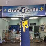 Gran Cells Chaveiro E Celulares