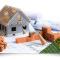Prs Construções E Comercio Ltda Prs Construções E Comercio Ltda