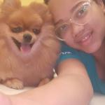 Jeu Dog Walker Pet Sitter Jeu Dog Walker Pet Sitter