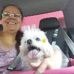 Roseli Martins Roseli Martins