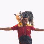 Adestramento De Cães Especializado Adestramento De Cães Especializado