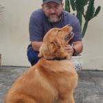 Adestrador De Cães Rj Barra Da Tijuca Rj Adestrador De Cães Rj Barra Da Tijuca Rj