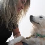 Tia Pet Adestramento De Cães Tia Pet Adestramento De Cães