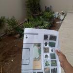 Guaimbê Jardinagem E Paisagismo Guaimbê Jardinagem E Paisagismo