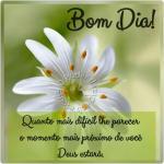 Lucia Helena De Souza Lucia Helena De Souza