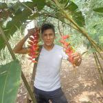 Ruben Nestor Quispe Flores Ruben Nestor Quispe Flores