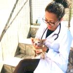 Cuidador De Animais Cuidador De Animais