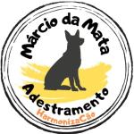 Marcio Da Mata Adestramento Básico E Dogwalker