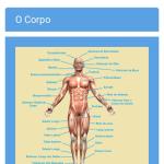 Massoterapeuta Massoterapeuta