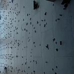 Adenilson Pereira Alves