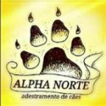 Alpha Norte