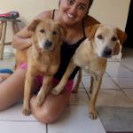 Damares Anchieta Será Babá Damares Anchieta Será Babá