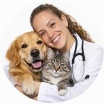 Luiza Fernandes Fonseca