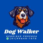 Dog Walker Henrique Proença